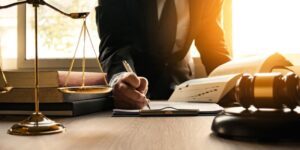 Read more about the article Economical, Knowledgeable, Amiable, And Skilled Lawyer at Mayedadv